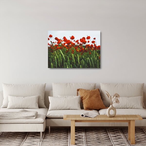 Staklena slika maka na vjetru (70x50 cm)