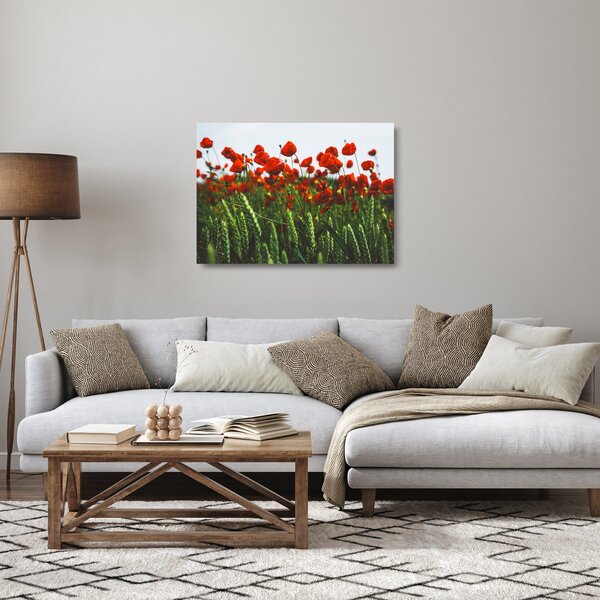 Staklena slika maka na vjetru (70x50 cm)