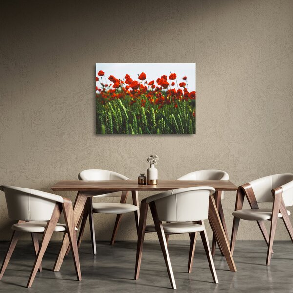 Staklena slika maka na vjetru (70x50 cm)
