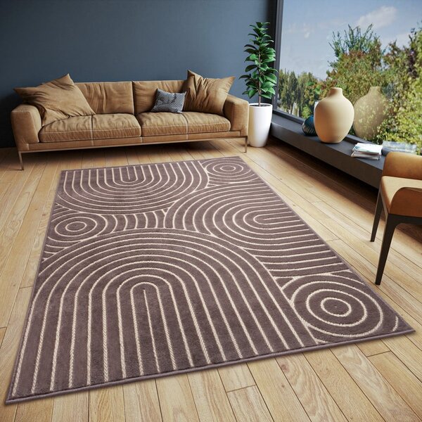 Smeđi tepih 160x235 cm Iconic Wave – Hanse Home