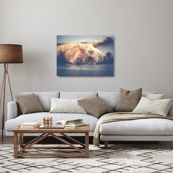 Staklena slika mačke na podu (70x50 cm)
