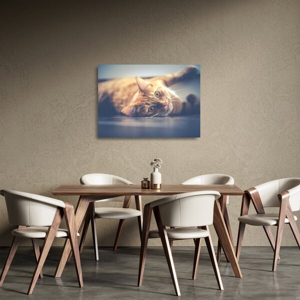 Staklena slika mačke na podu (70x50 cm)