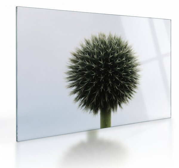 Staklena slika cvjetne kugle (70x50 cm)