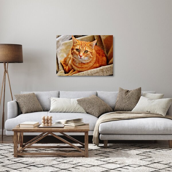 Staklena slika mačke koja leži (70x50 cm)