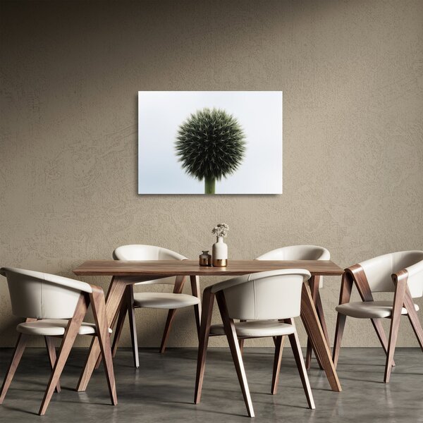 Staklena slika cvjetne kugle (70x50 cm)