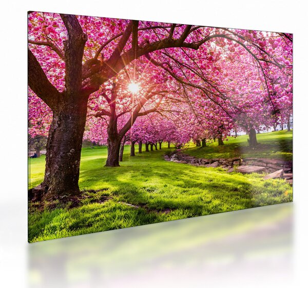Staklena slika procvjetalih trešanja, Hurd Park, Dover, New Jersey (70x50 cm)