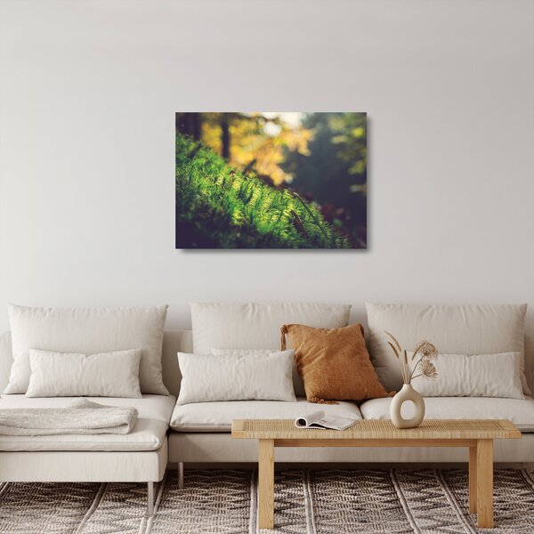 Staklena slika mahovine sa gljivom (70x50 cm)