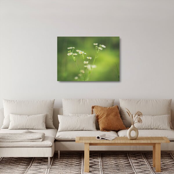 Staklena slika Tratinčice (70x50 cm)