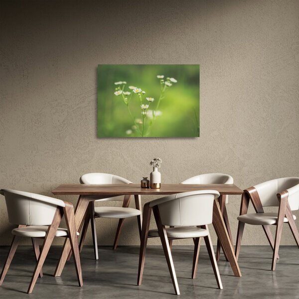 Staklena slika Tratinčice (70x50 cm)