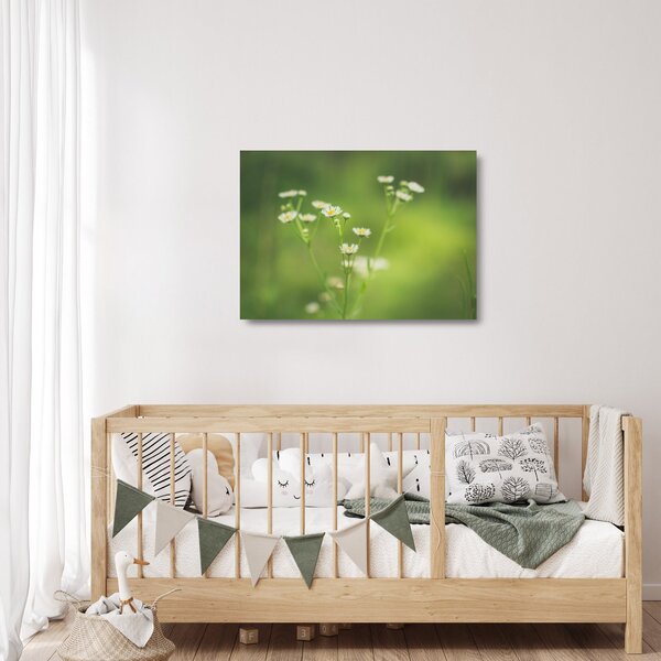 Staklena slika Tratinčice (70x50 cm)