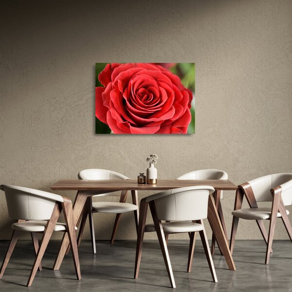 Staklena slika cvijeta ruže (70x50 cm)