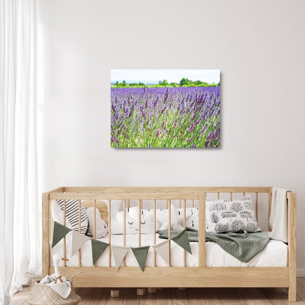 Staklena slika polja s lavandom (70x50 cm)