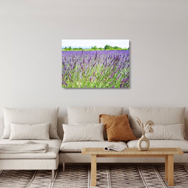 Staklena slika polja s lavandom (70x50 cm)
