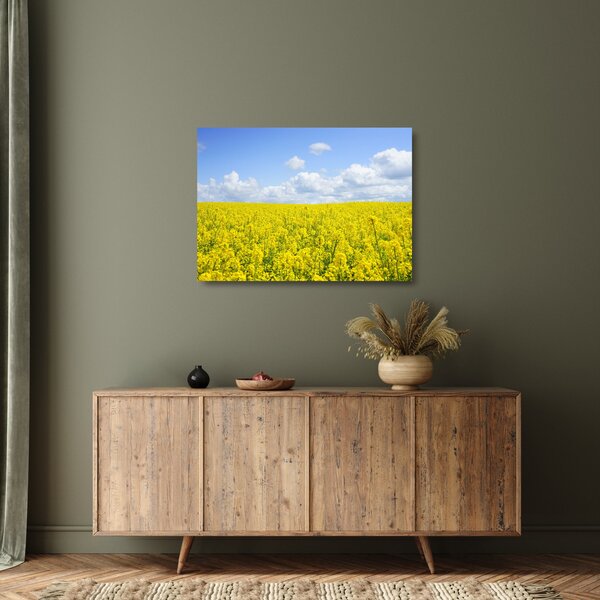 Staklena slika žutog polja (70x50 cm)