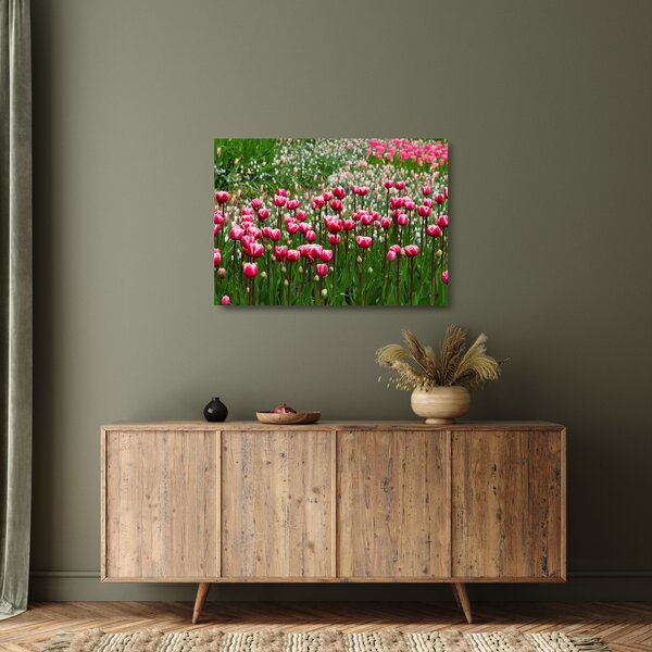 Staklena slika tulipana (70x50 cm)