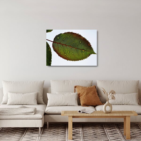 Staklena slika - List ruže (70x50 cm)