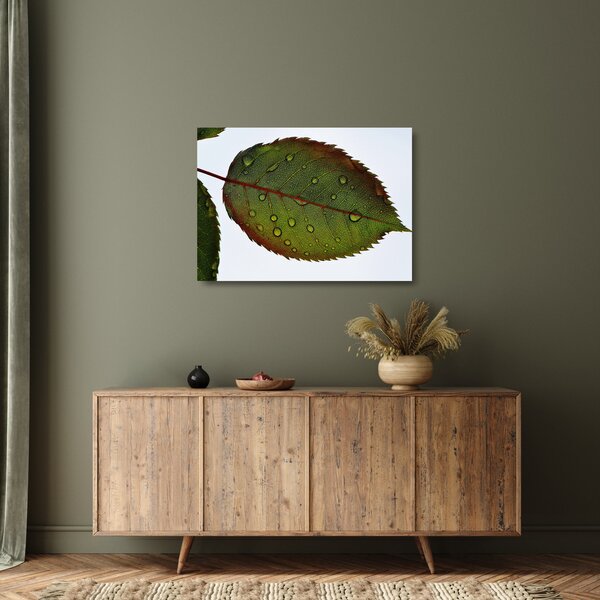 Staklena slika - List ruže (70x50 cm)