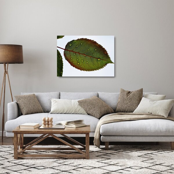 Staklena slika - List ruže (70x50 cm)