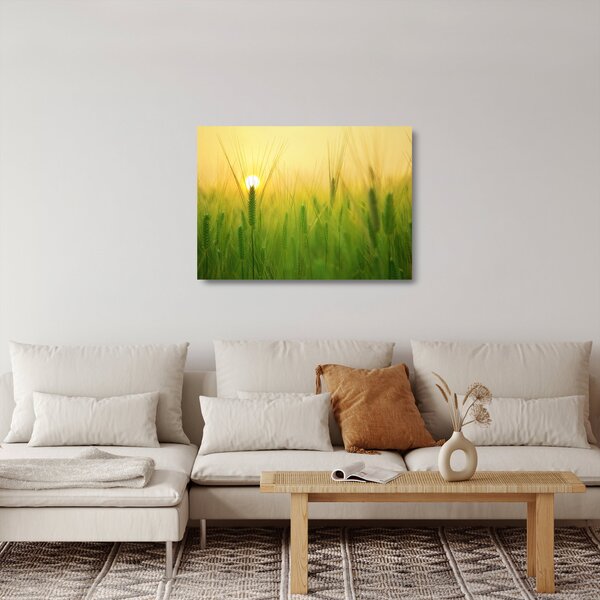 Staklena slika polja sa žitom (70x50 cm)