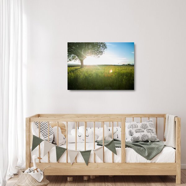 Staklena slika stabla u polju (70x50 cm)