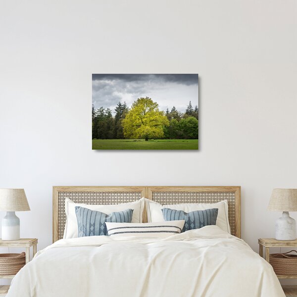 Staklena slika zelenog stabla usred polja (70x50 cm)