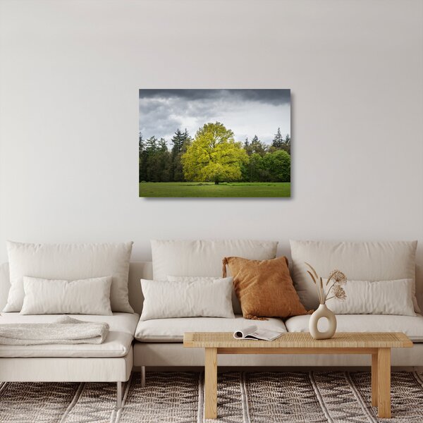 Staklena slika zelenog stabla usred polja (70x50 cm)