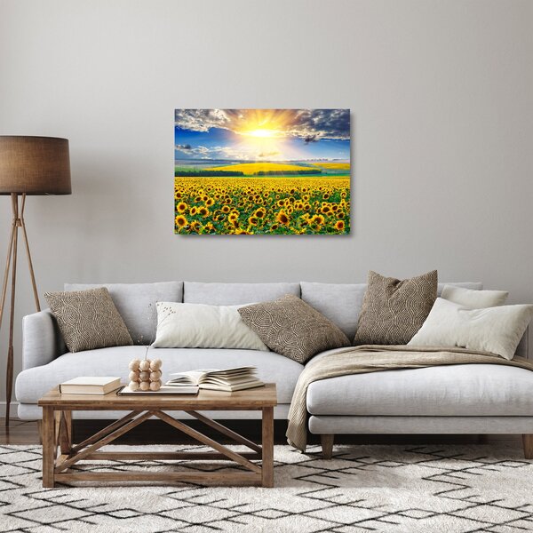 Staklena slika - Polje suncokreta (70x50 cm)