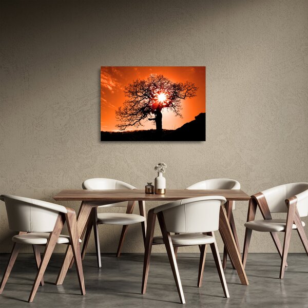 Staklena slika - Stablo hrasta pri zalasku sunca (70x50 cm)