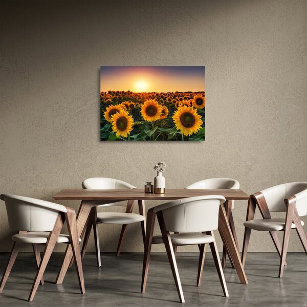 Staklena slika - Suncokret (70x50 cm)