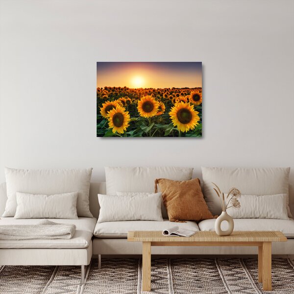 Staklena slika - Suncokret (70x50 cm)
