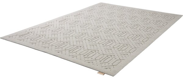 Svijetlo sivi vuneni tepih 160x230 cm Dive – Agnella