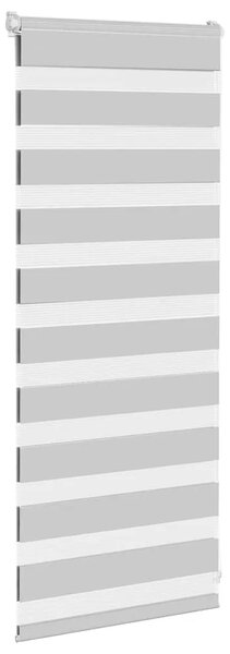 Zebraste zavjese - Zavjesa zebra 60x100 cm širina tkanine 55 9 cm poliester - Svjetlosiva 60 x 100 cm Svjetlosiva 60 x 100 cm