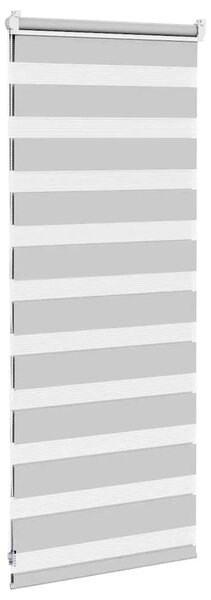 Zebraste zavjese - Zavjesa zebra 60x100 cm širina tkanine 55 9 cm poliester - Svjetlosiva 60 x 100 cm Svjetlosiva 60 x 100 cm