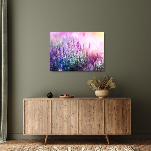 Staklena slika - Lavanda u sjaju sunca (70x50 cm)