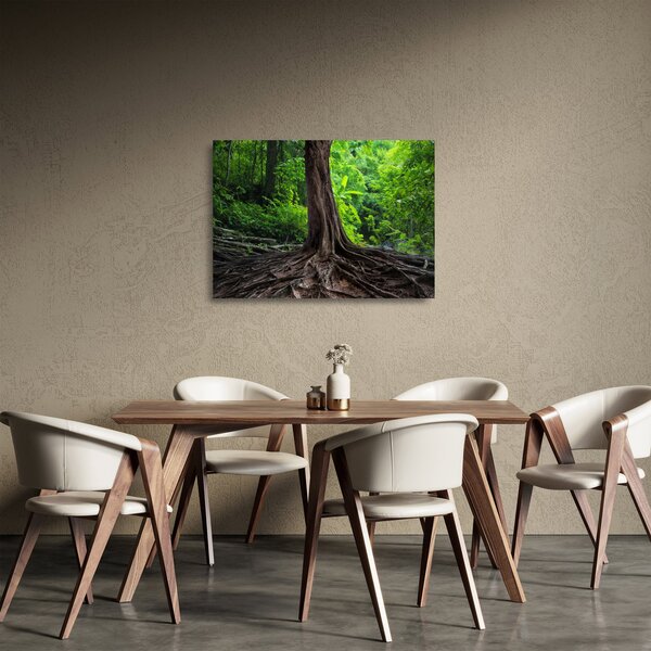 Staklena slika - Staro drvo s korijenjem (70x50 cm)