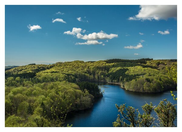 Staklena slika - Jezero u šumi (70x50 cm)