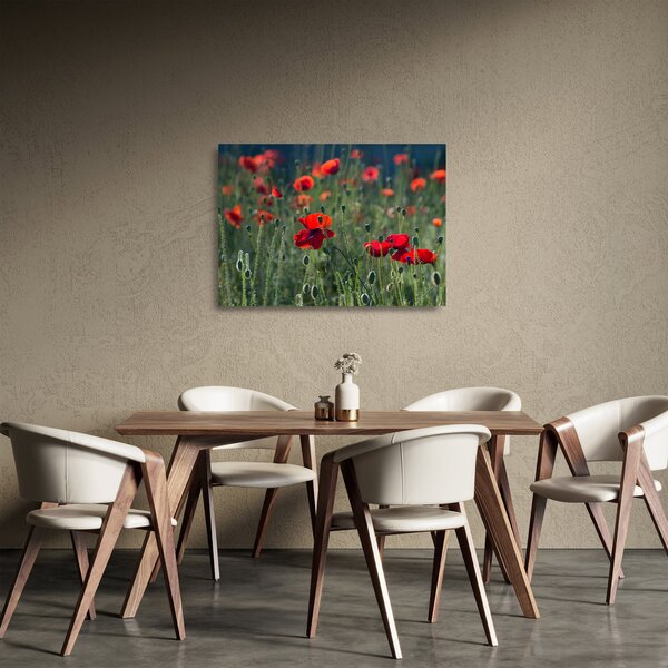 Staklena slika - Livada s makom (70x50 cm)