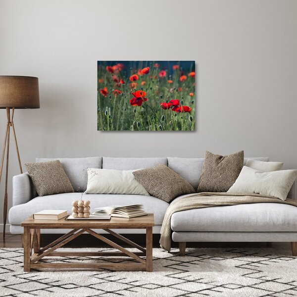 Staklena slika - Livada s makom (70x50 cm)