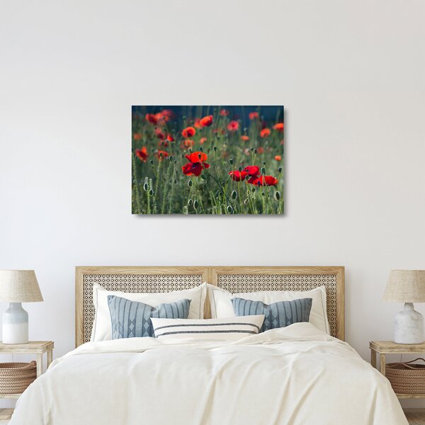 Staklena slika - Livada s makom (70x50 cm)