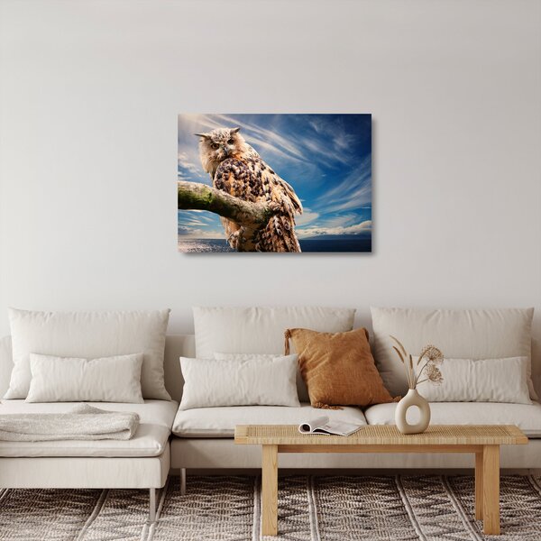 Staklena slika - Sova (70x50 cm)