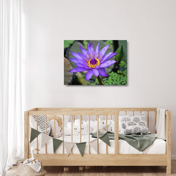 Staklena slika - Ljubičasti cvijet (70x50 cm)