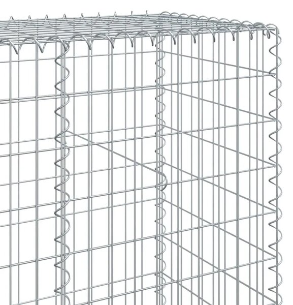 Gabion - Gabion ograde - Gabionska košara s poklopcem 200x50x200 cm pocinčano željezo - 200 x 50 x 200 cm 1 200 x 50 x 200 cm