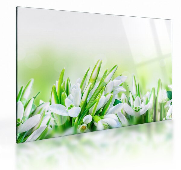 Staklena slika - Visibabe (70x50 cm)