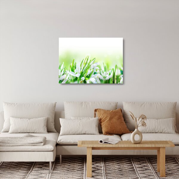 Staklena slika - Visibabe (70x50 cm)