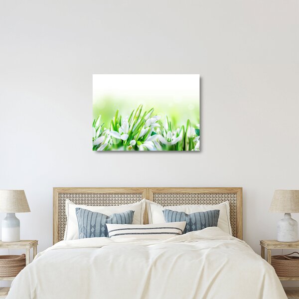Staklena slika - Visibabe (70x50 cm)
