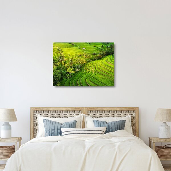 Staklena slika - Rižine terase (70x50 cm)