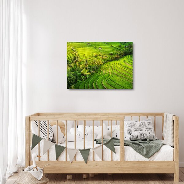 Staklena slika - Rižine terase (70x50 cm)
