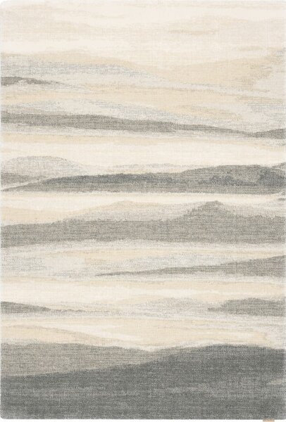 Sivo-bež vuneni tepih 200x300 cm Elidu – Agnella