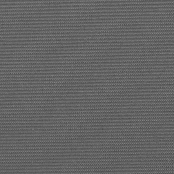 Uvlačna bočna tenda antracit boje 100x500 cm - Antracit 100 x 500 cm 1 Antracit
