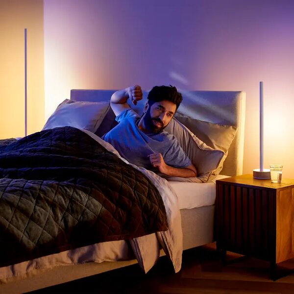 GRADIENT SIGNE PHILIPS HUE pametna LED svjetiljka TABLE hrast 8719514433465